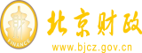 插操操北京市财政局