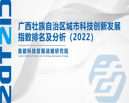 大鸡巴操我的下面好湿多人免费观看【成果发布】广西壮族自治区城市科技创新发展指数排名及分析（2022）